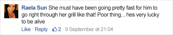 hit-coyote-car-rescue-georgie-knox-8