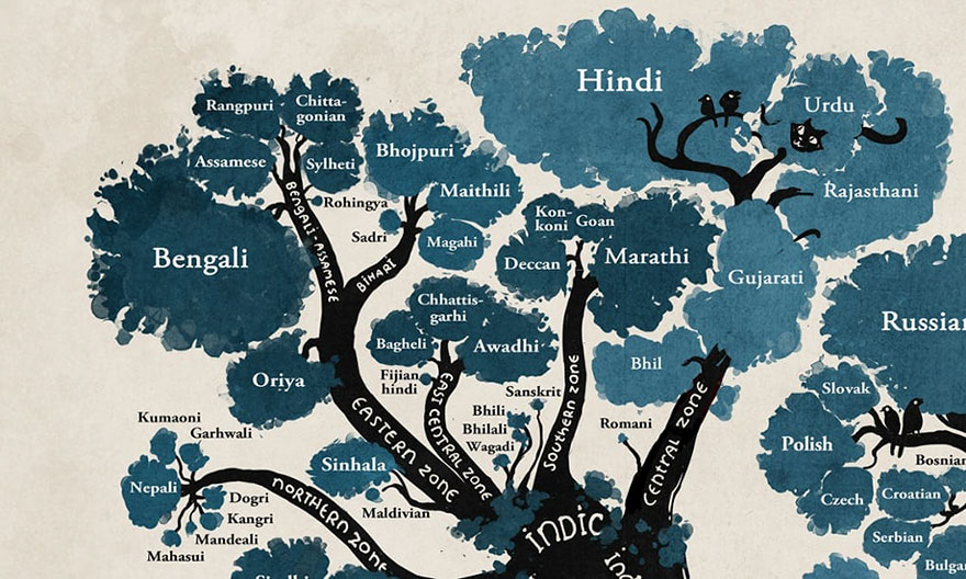 illustrated-linguistic-tree-languages-minna-sundberg-1 illustrated-linguistic-tree-languages-minna-sundberg-1