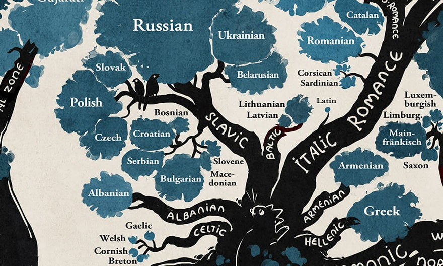 illustrated-linguistic-tree-languages-minna-sundberg-5 illustrated-linguistic-tree-languages-minna-sundberg-5