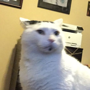 jenna-c-milner avatar