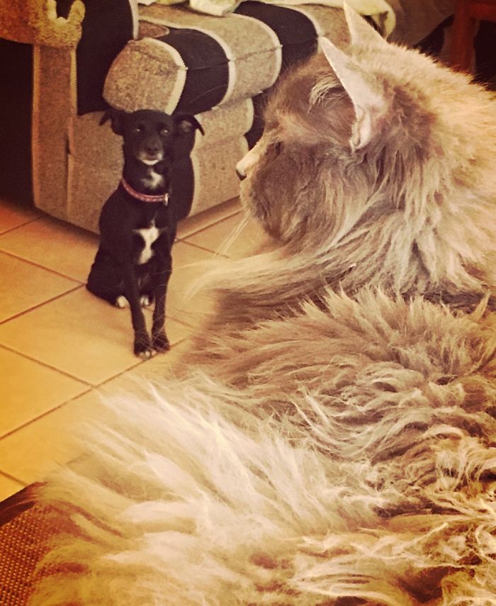 It's A Very One Sided Relationship...