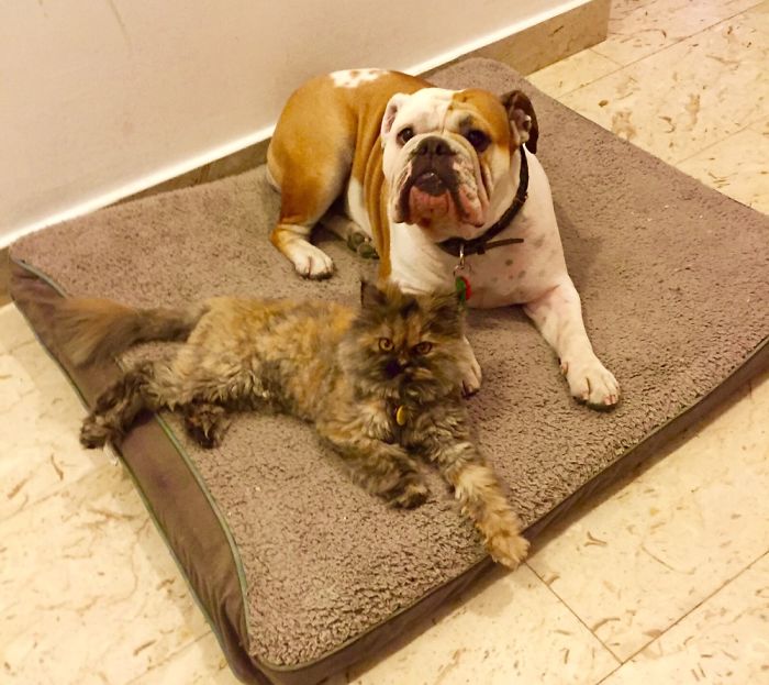 Never Imagined These 2 Would Get Along So Well, Sisterly Love! Pepa &a Peanut