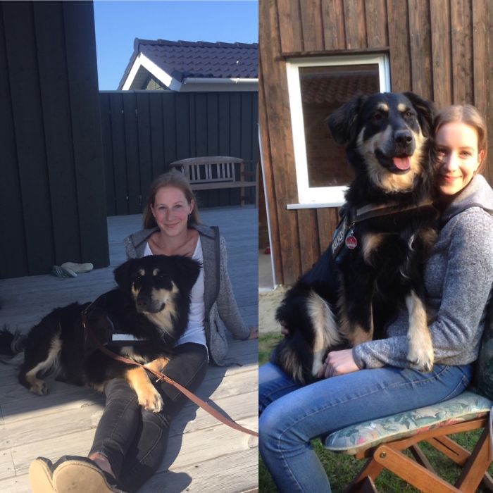 Not As Big As Most Dogs On Here But Still Too Big For A Lap Dog :)