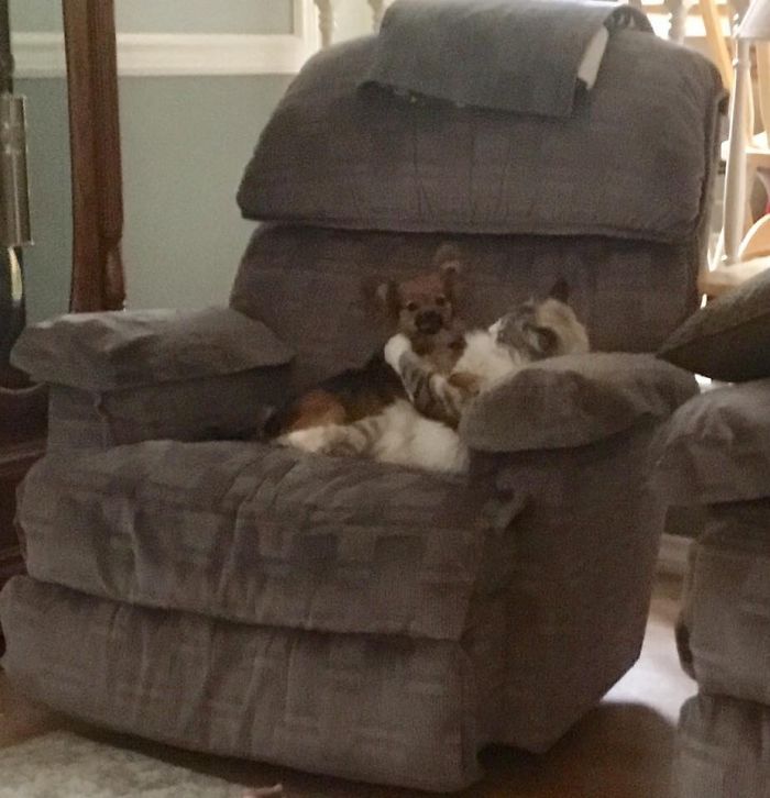 Ziggy & Buffy., True Love