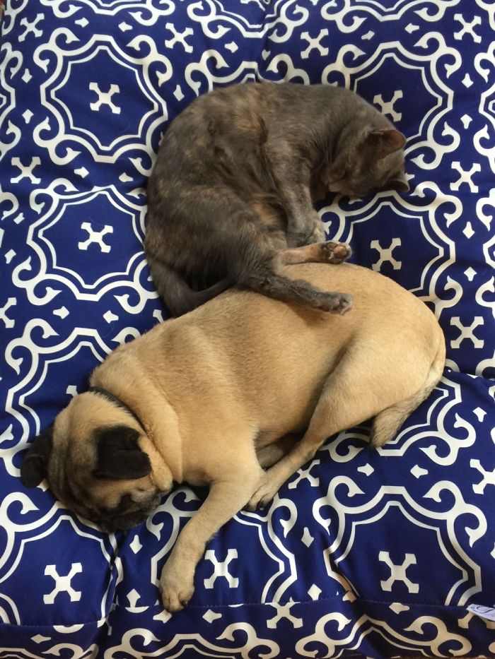 Deceptively Adorable. These Two Are More Cold Than Hot, But They Have Their Moments.