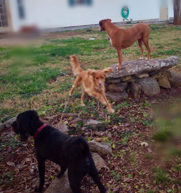 Can You Guess Who's The Youngest?