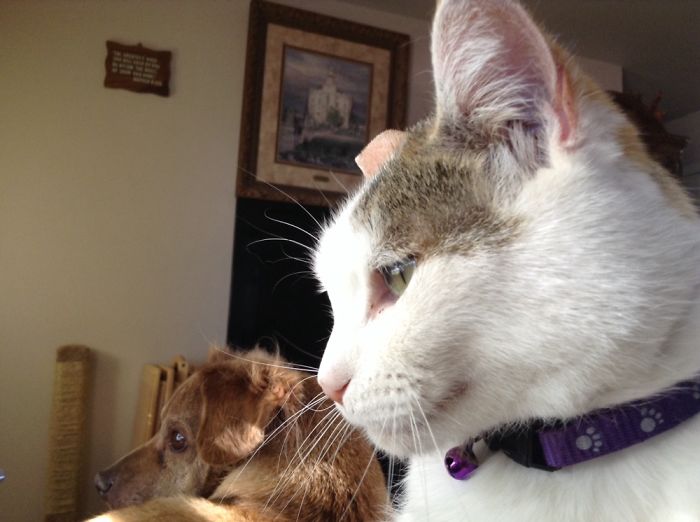 That's Right. Keep On Walkin'.