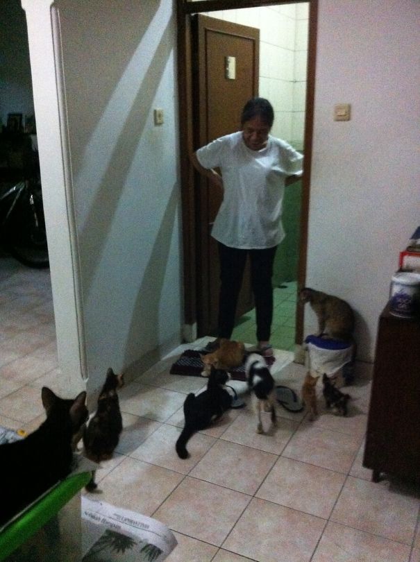 Got Back Home From Work, Went Straight To Bathroom, Opened Door To This. Happens Every Time I Leave Home For More Than 2 Hours!