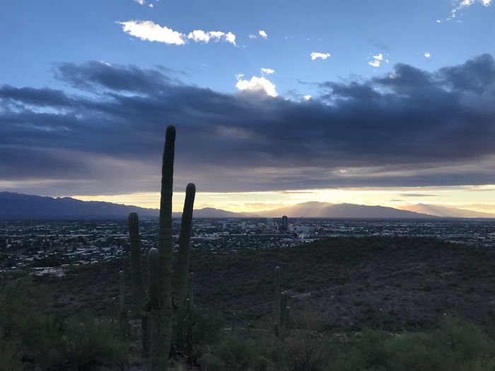 Tumamoc Hill -Tucson Arizona