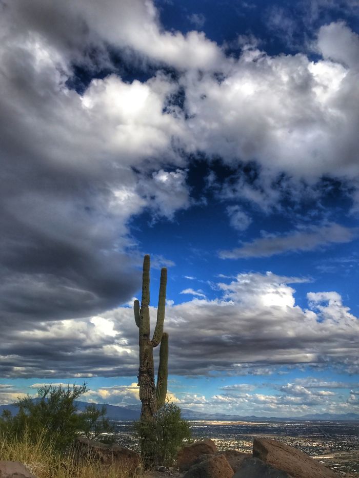 Tumamoc Hill -Tucson Arizona