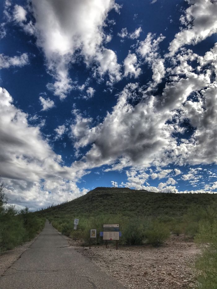 Tumamoc Hill -Tucson Arizona
