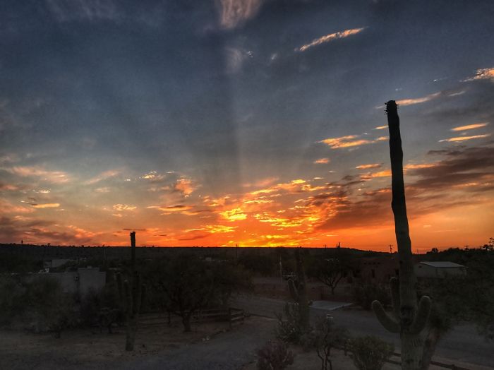 Tumamoc Hill -Tucson Arizona