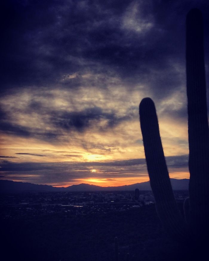 Tumamoc Hill -Tucson Arizona