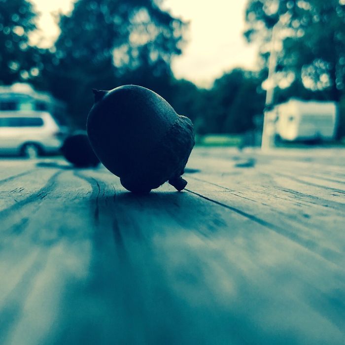 New Photographer Trying To Get Out There