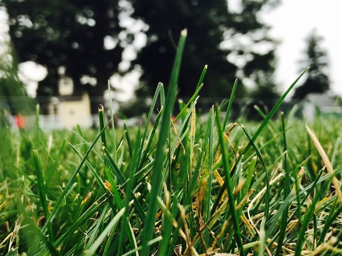 New Photographer Trying To Get Out There