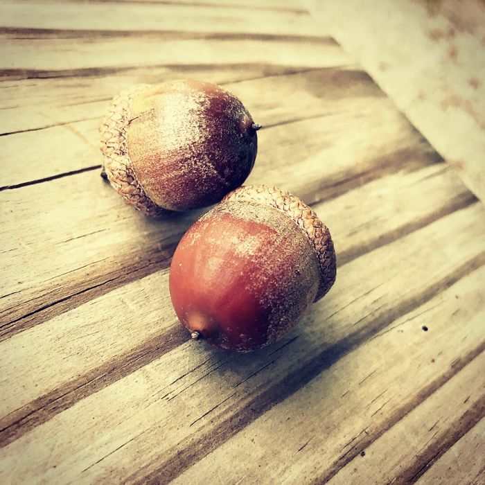 New Photographer Trying To Get Out There