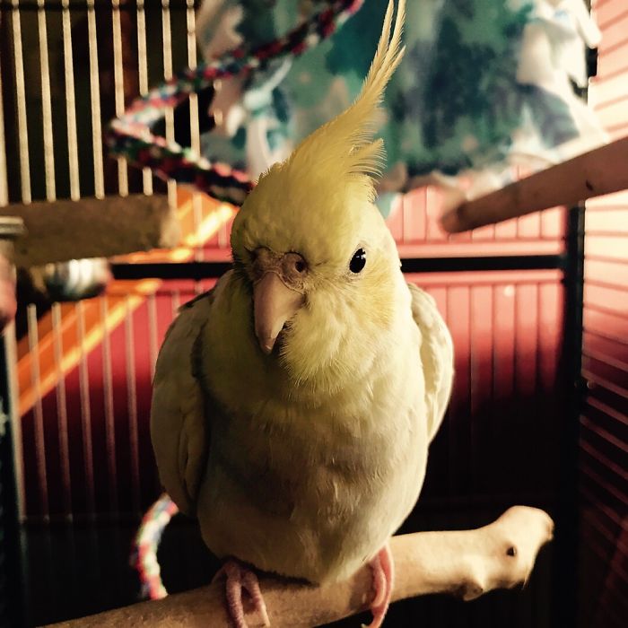 New Photographer Trying To Get Out There