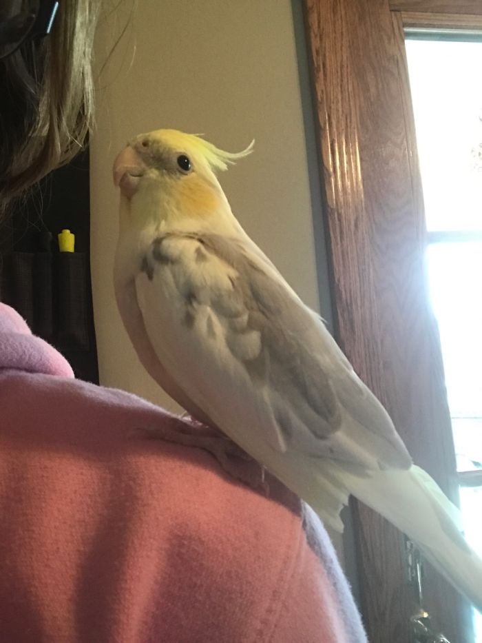 New Photographer Trying To Get Out There