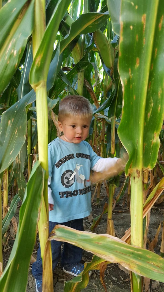 New Photographer Trying To Get Out There