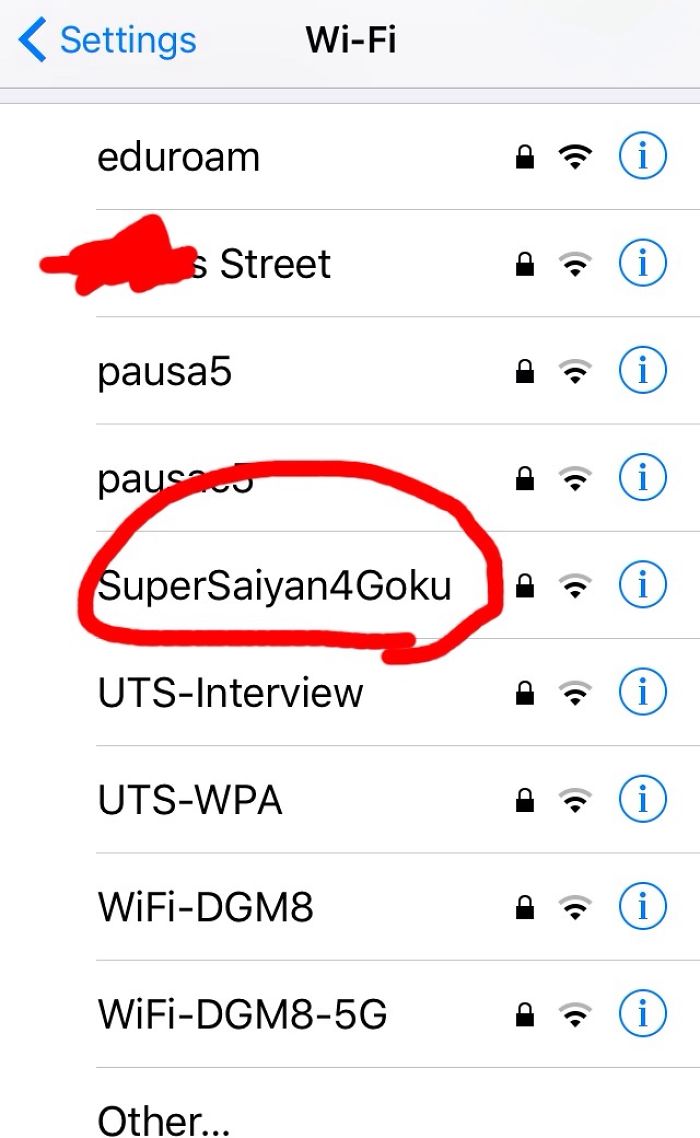 So, I Went Out Today, Guess What I Saw?