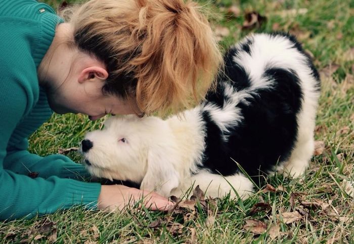 Chosen! Dogger Meets Daughter.