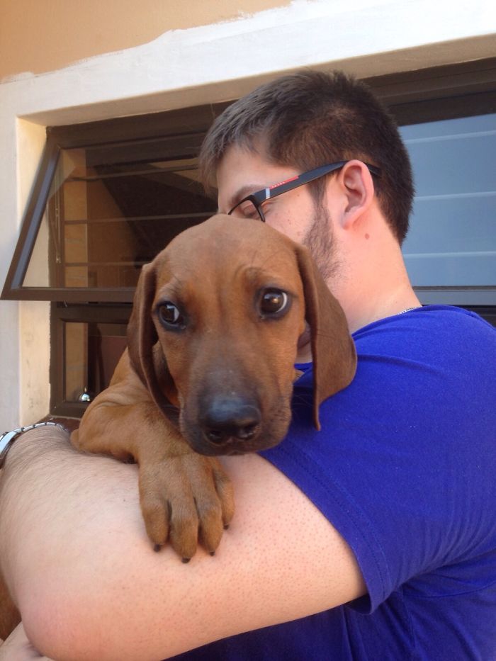 The First Day We Met Our Rhodesian Ridgeback, Athena. She Creeped Into Our Hearts!