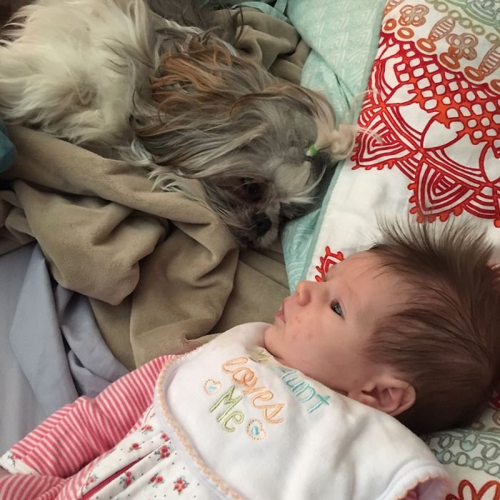 Rosie Has A New Human...