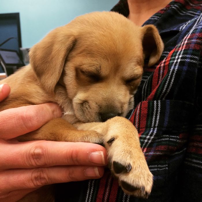 Found On The Streets Of Tj While In A Day Trip To Mexico.