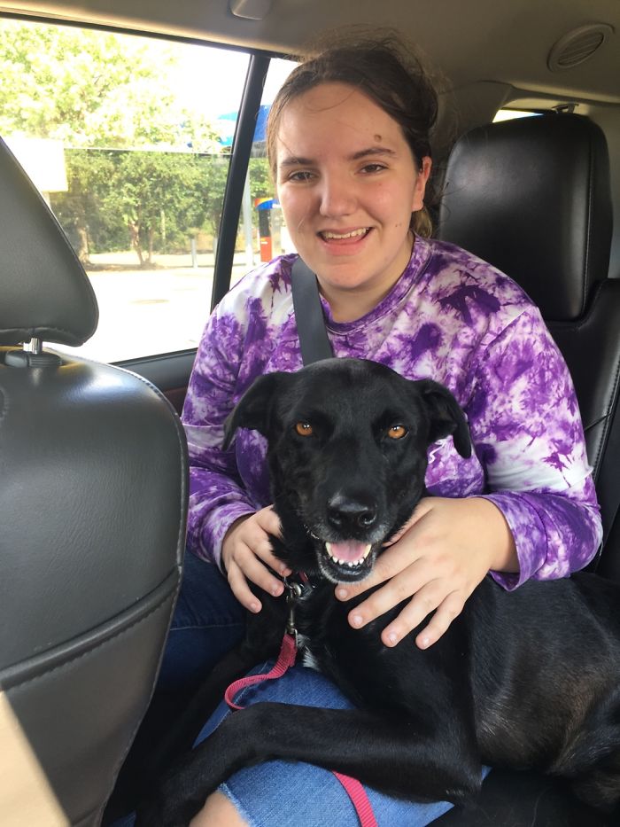 Blackjack On The Way To Forever Home From The Shelter ❤️