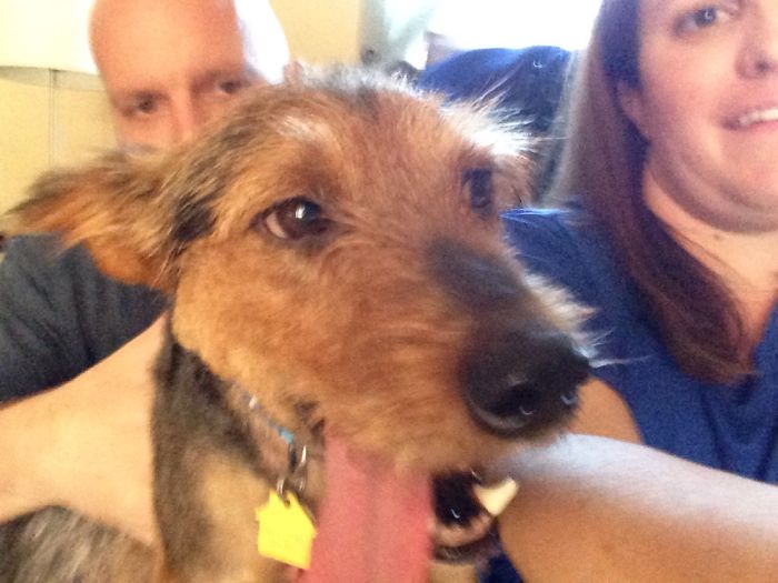 Soon After We Brought Scout Home From The Shelter. He's Such A Good Boy.