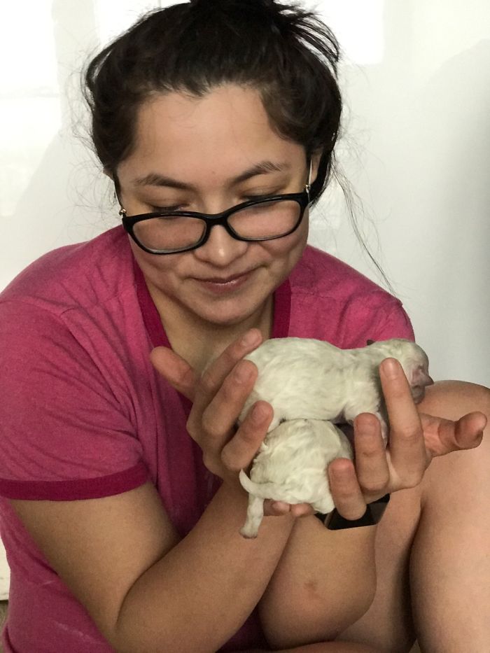 Three Newborn Pups That Lina Added To Our Family.