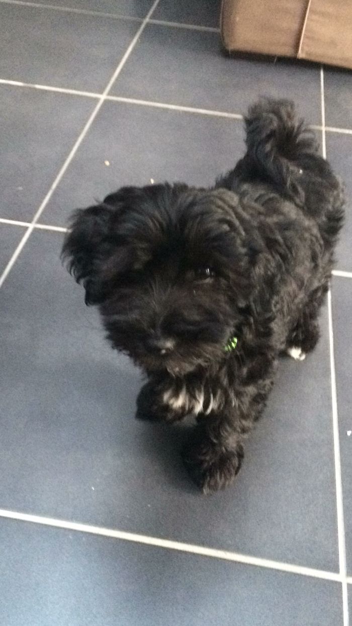 Our Little June Just Got Home