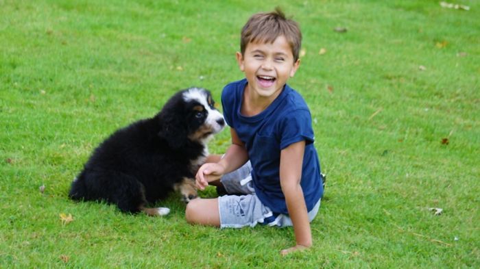 My Son Meeting Max For The First Time, Sadly Max Passed On 9 Days Later 😪
