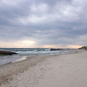 lauraferretti avatar