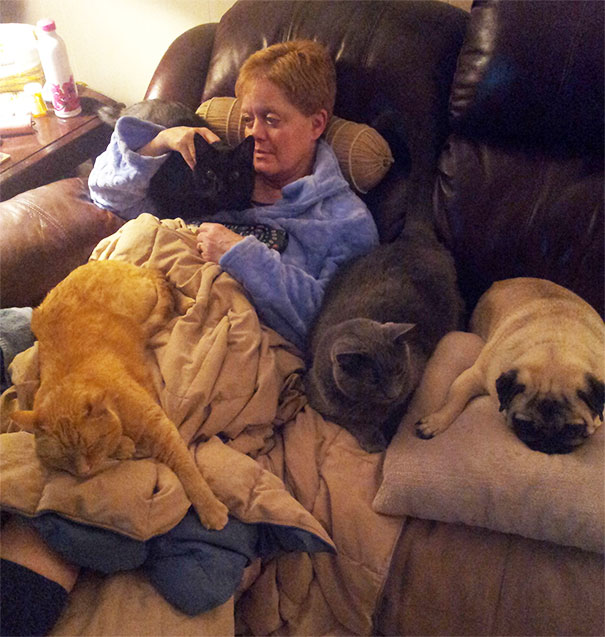 My Mom Just Had Double Knee Surgery. Her Pets Have Made It Their Responsibility To Comfort Her