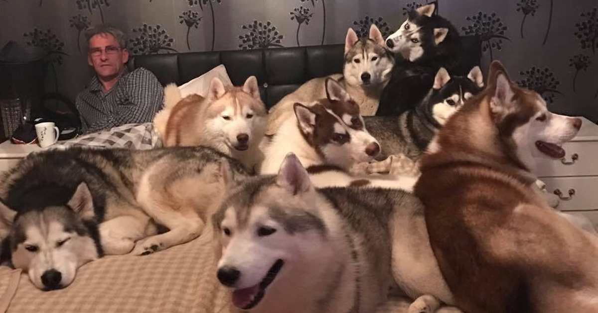 Pet Owners Who Have 3 Or More Pets, Share Your Pics With Us