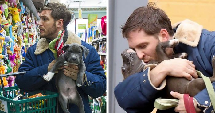 Heartwarming Photos Of Tom Hardy With Puppies Are Going Viral, And They’ll Melt Your Heart