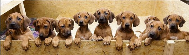 When They Are Hungry....................