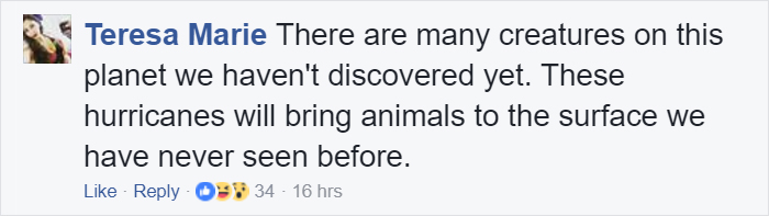 Mysterious Eyeless Creature Washes Up On Texas Beach After Hurricane Harvey, And It's Terrifying Mysterious Eyeless Creature Washes Up On Texas Beach After Hurricane Harvey, And It's Terrifying