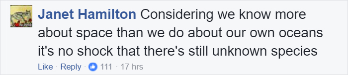 Mysterious Eyeless Creature Washes Up On Texas Beach After Hurricane Harvey, And It's Terrifying Mysterious Eyeless Creature Washes Up On Texas Beach After Hurricane Harvey, And It's Terrifying