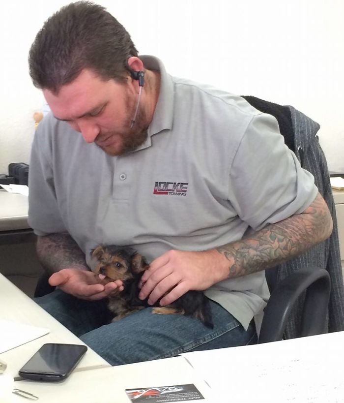 Vet Friend Brought Her By To Visit At Work....then Said She's Looking For A Home...