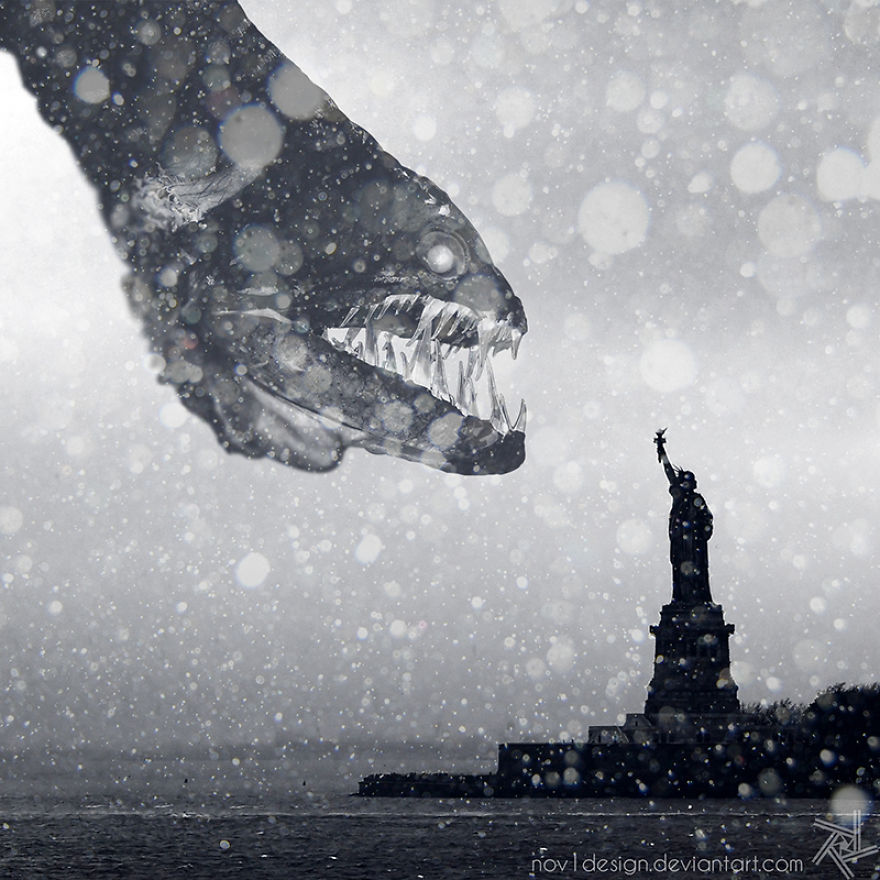 I Made 25 Eyebrow-Lifting Pictures