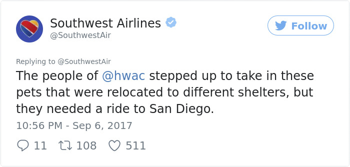 Southwest Airlines Fills Cabin With Pets Orphaned During Houston Storm In Dramatic Rescue