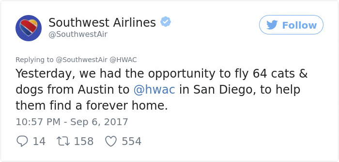 Southwest Airlines Fills Cabin With Pets Orphaned During Houston Storm In Dramatic Rescue