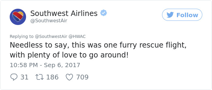 Southwest Airlines Fills Cabin With Pets Orphaned During Houston Storm In Dramatic Rescue