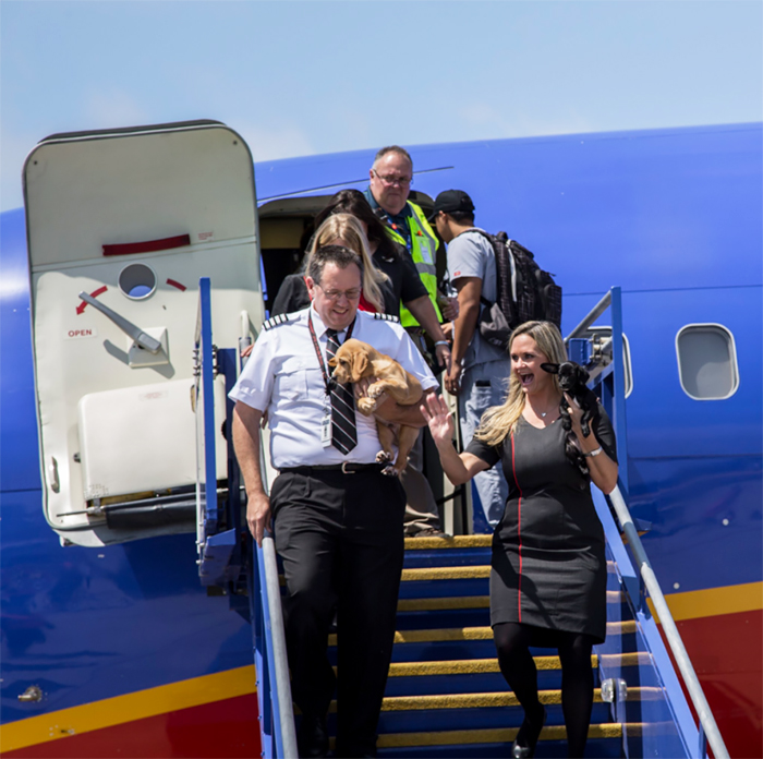 Southwest Airlines Fills Cabin With Pets Orphaned During Houston Storm In Dramatic Rescue