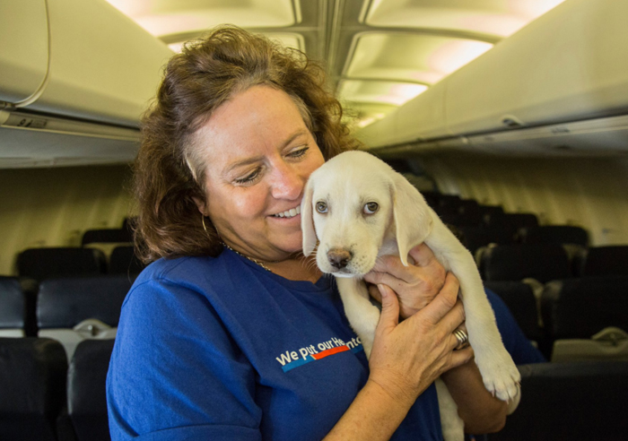 Southwest Airlines Fills Cabin With Pets Orphaned During Houston Storm In Dramatic Rescue