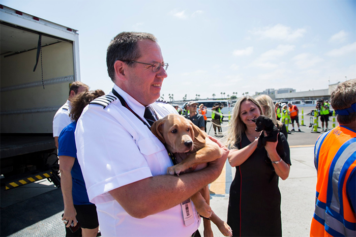 Southwest Airlines Fills Cabin With Pets Orphaned During Houston Storm In Dramatic Rescue