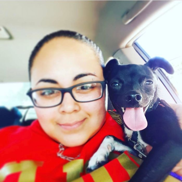 Got This Pup From A Rescue 2 Years Ago, I Blurred Myself So All The Attention Is On Him. Everyone Welcome Sir Benedict Blanco!