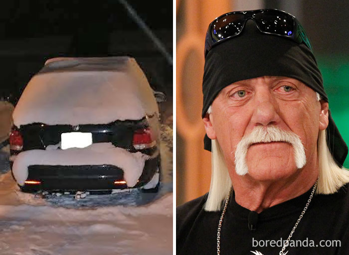My Car Looks Like Hulk Hogan